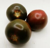 Tomate Kumato noire